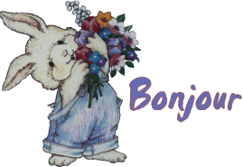 Gif animé bonjour